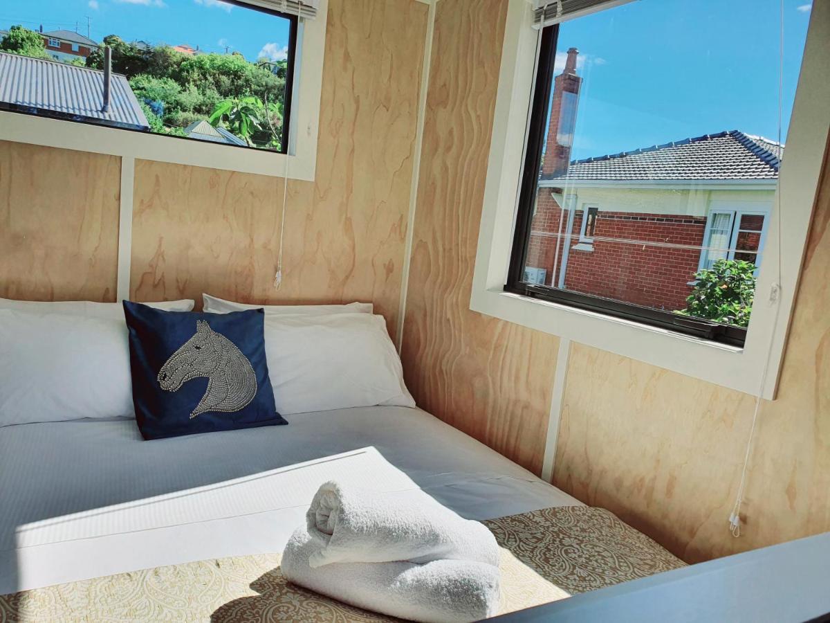 Dunedin Retreat Cabin Extérieur photo